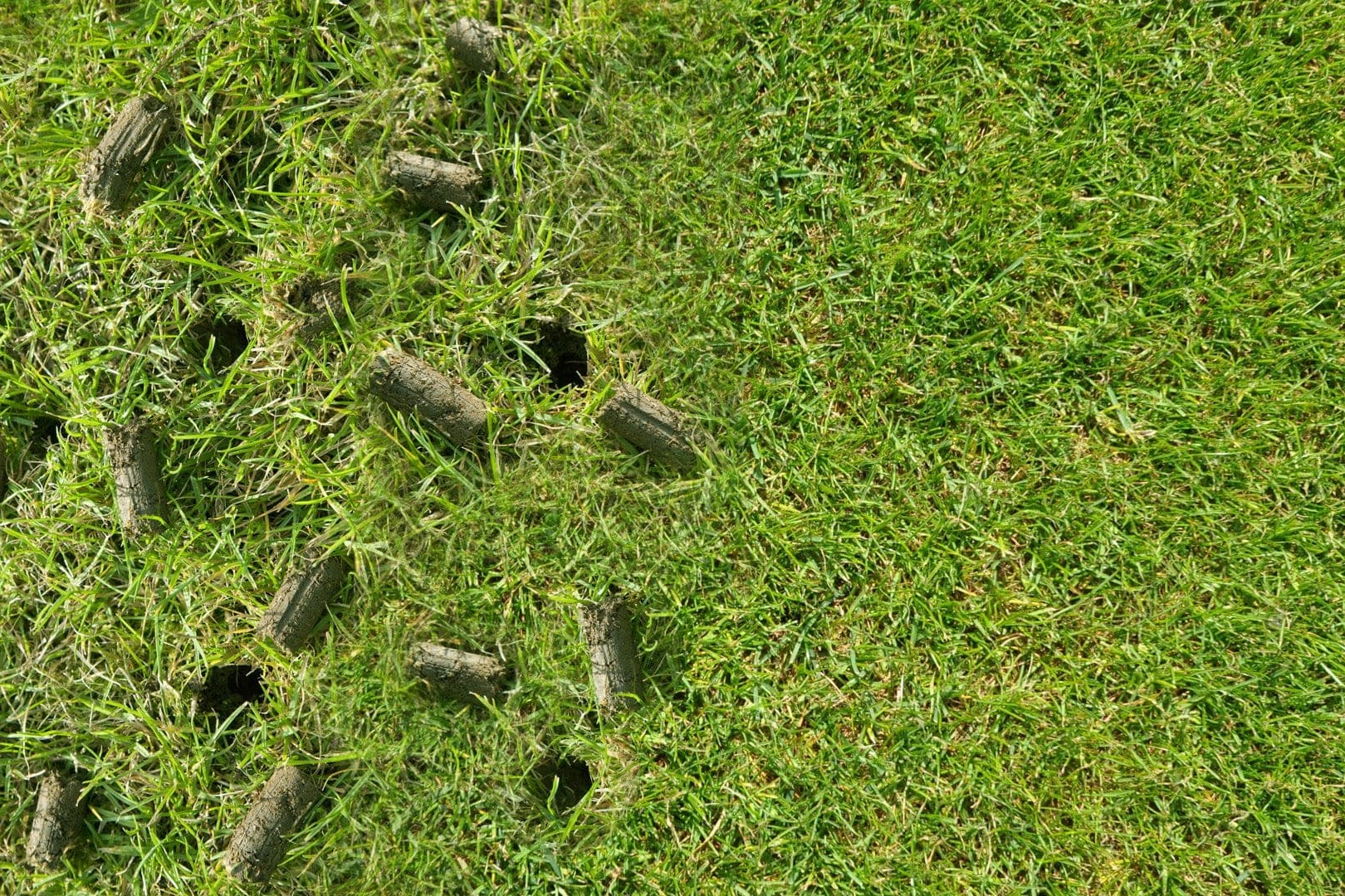 The Two Weeks After You Aerate Are the Ones That Actually Matter